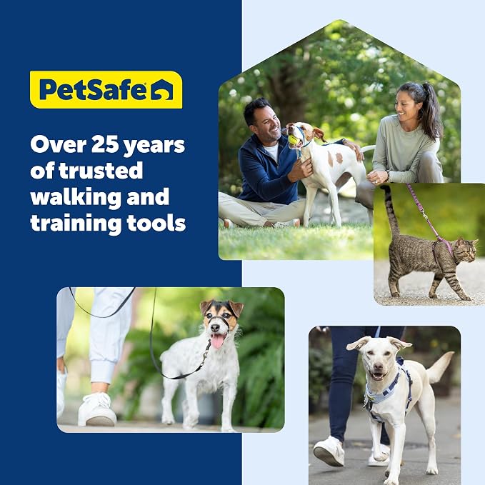 PetSafe Easy Walk No-Pull Dog Harness - Ultimate Harness to Help Stop Pulling - Pull-Free Walks - Take Control & Teach Better Leash Manners - Patented Martingale Loop Design - Apple Green,Medium/Large