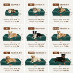 Comfort Expression Orthopedic Dog Beds for Large Sized Dog with Bolster | Waterproof Dog Couch Bed with Washable Cover & Non-Slip Bottom, Supportive Egg Crate Foam Large Pet Bed, 38x25 Inch