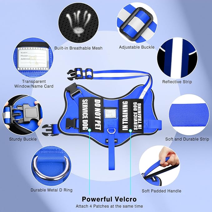 Service Dog Vest Harness and Leash Set+10 Patches,Easy Walk Blue S | No Pull&Adjustable Reflective Dog Harness Small Sized,Dog Leash with 2 Soft Padded Handles,for Training Hiking Walking