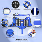 Service Dog Vest Harness and Leash Set+10 Patches,Easy Walk Blue S | No Pull&Adjustable Reflective Dog Harness Small Sized,Dog Leash with 2 Soft Padded Handles,for Training Hiking Walking