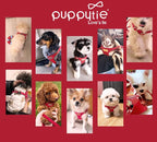 Puppytie XS Dog Harness and Leash Set, Red Camellia, XS (4.5-11 lbs) | Extra Small Dog Harness, Puppy Harness and Leash, Soft Lightweight and Adjustable, Xsmall Dog Harness for Daily Walks