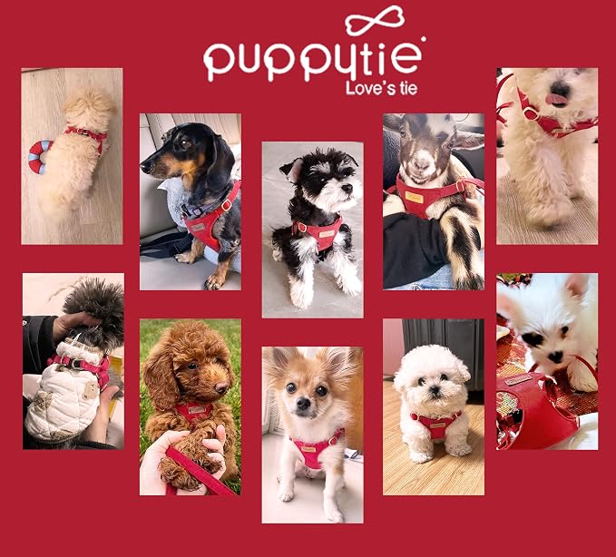 Puppytie XS Dog Harness and Leash Set, Red Camellia, XS (4.5-11 lbs) | Extra Small Dog Harness, Puppy Harness and Leash, Soft Lightweight and Adjustable, Xsmall Dog Harness for Daily Walks
