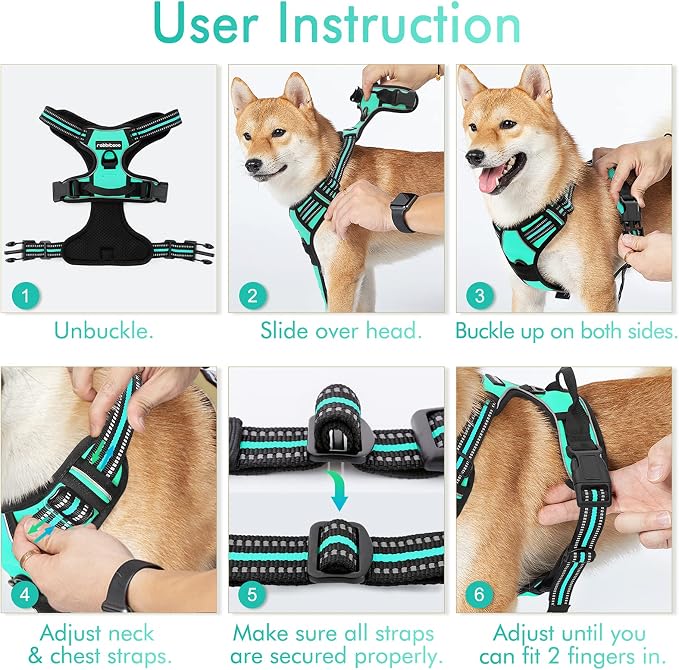 rabbitgoo Dog Harness, No Pull Medium Sized with 2 Leash Clips, Pet Vest | No Choke with Handle, Adjustable Soft Padded, Reflective, Easy Control for Walking, Turquoise, Medium