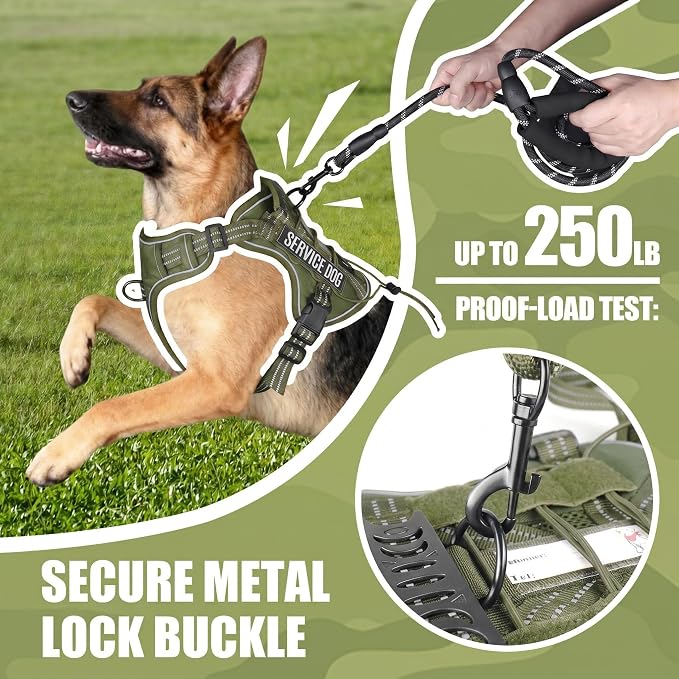 Service Dog Tactical Vest Harness and Leash Set Large Sized Dog Emotional Support- Tactical Dog Harness Training Collar with Name (Army Green, XL)