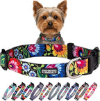 Lucky Love Dog - Adjustable Dog Collar with Easy Click Buckle for Small Ones, Durable, & Comfortable for Male & Female Dogs, Pet Collar for Puppies & Adult Dogs - Blackbird, X-Small