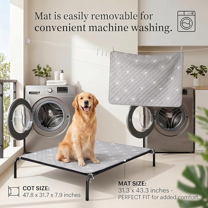 PJYuCien Raised Dog Bed with Pad, 48'' Gray