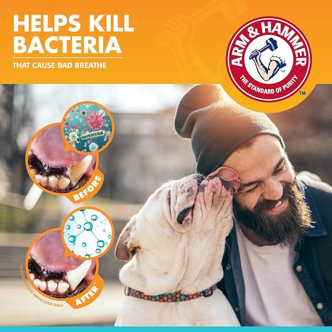 Arm & Hammer Fresh Breath Enzymatic Dog Toothpaste, 2.5 Oz, 72-Pack | Baking soda dental gel eliminates bad breath, safe for daily use in puppies and adult dogs