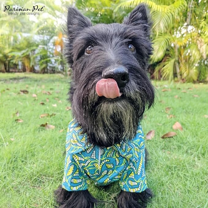 Parisian Pet Tribal Dog Dress - Summer Clothes for Small Dogs Girl - Ruched Waist Pet Dress - Stylish Printed Beach Dog Outfit - Lightweight Puppy Clothes - Sleeveless Dresses for Dogs