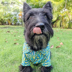 Parisian Pet Tribal Dog Dress - Summer Clothes for Small Dogs Girl - Ruched Waist Pet Dress - Stylish Printed Beach Dog Outfit - Lightweight Puppy Clothes - Sleeveless Dresses for Dogs