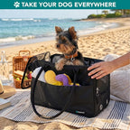 PetAmi Dog Purse Carrier for Small Dogs Cats, TSA Airline Approved Soft-Sided Pet Carrier with Pockets, Ventilated Travel Tote Bag with Bed & Shoulder Strap, Puppy Kitten, Max 12 lbs, Black