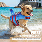 ASENKU Dog Life Jacket - Pet Safety Vest for Swimming & Boating, Shark Life Jacket with Floatation, Dog Lifesavers Swimsuits for Small Medium Large Dogs (GradStar, XL)