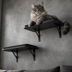 Cat Wall Shelves Set of 2, Black Solid Wood Window Perches with Sisal Mats | Removable Black Sisal Mats, Wall-Mounted Cat Furniture for Climbing, Scratching and Lounging, 16.6 x 9.7 Inch