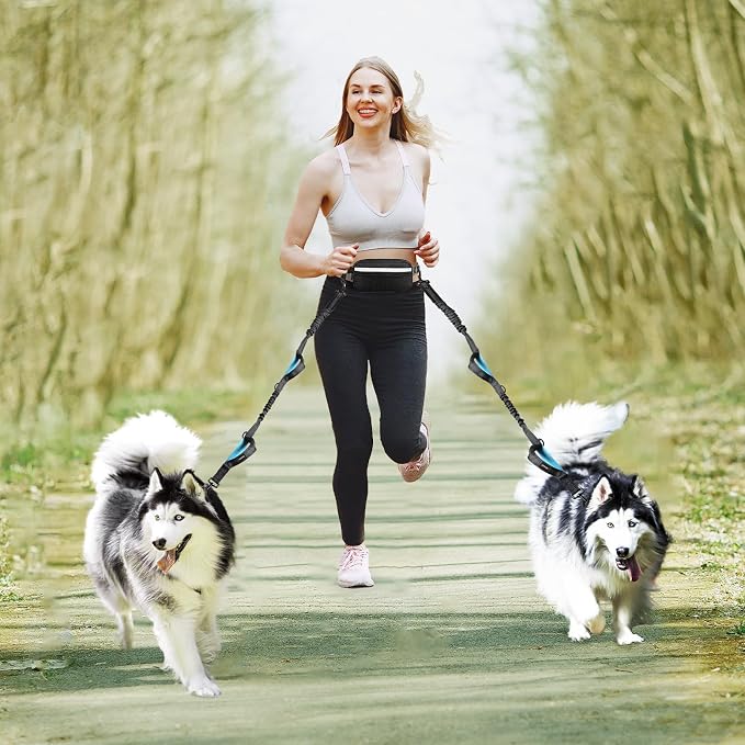 Uppetly Hands Free Dog Running Leash with Adjustable Waist Belt, Dual Handle Elastic Bungees Retractable Rope for Medium and Large Dogs, Reflective Stitches for Walking Hiking Biking (Large, 25-120lb)