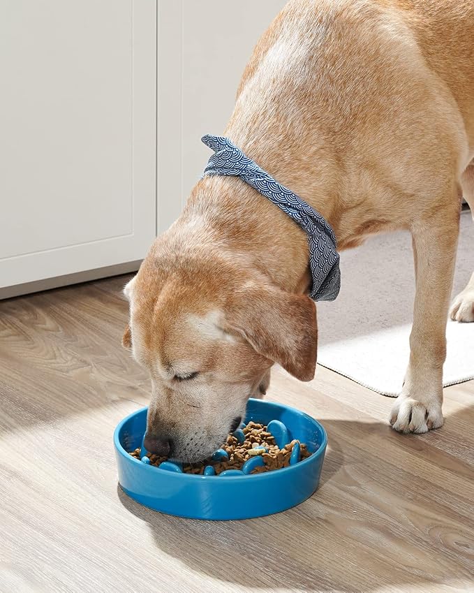 LE TAUCI Slow Feeder Dog Bowls Ceramic, 3 Cups Slow Feeding Dog Bowl Medium Large Breed, Puzzle Pet Dishes,Vortex Blue
