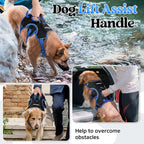 rabbitgoo Escape Proof Dog Harness for X-Large, No Pull with Lift Handle | No Escape, Full Soft Padded, Reflective Adjustable Vest, Leash Clip for Walking Hiking Training, Blue & Black, X-Large