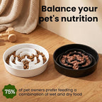 Ceramic Slow Feeder Dog Bowls 0.6 Cups for Small Fast Eaters,White | Reduces Bloating,6.02x1.38 Inch Dish For Daily Dog Meals, Maze Puzzle Slows Down Eating, Anti-Choking,9.0oz Water
