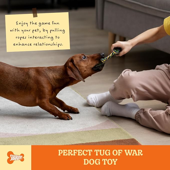 Puppy Teething Toys for Small Dogs, 5 Pack Cotton Puppy Dog Rope Toy for Small Dogs, Durable Dog Chew Toys for Aggressive Chewers Small Breed, Interactive Tug of War Puppy Toys to Keep Them Busy