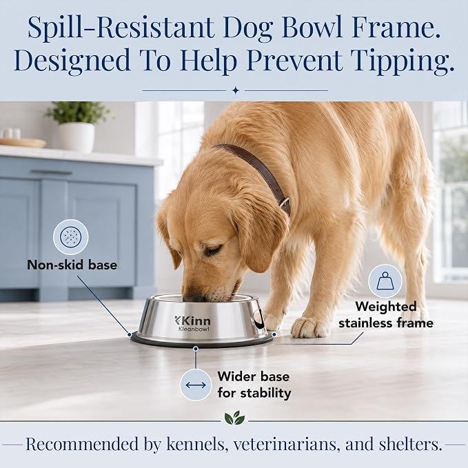 Kinn Kleanbowl Pet Bowl Stainless Steel Frame, 32 oz (Pack of 2) | Compostable Refills, Spill-Proof Stable, Disposable, Easy Cleaning, No Plastic