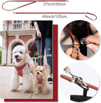 Puppytie Small Dog Harness and Leash Set, Red Hawthorn, S (9-17.5 lbs) | Dog Harness Small Sized Dog, Dog Leash for Small Dogs, Soft and Lightweight, Puppytie Dog Harness for Daily Walks