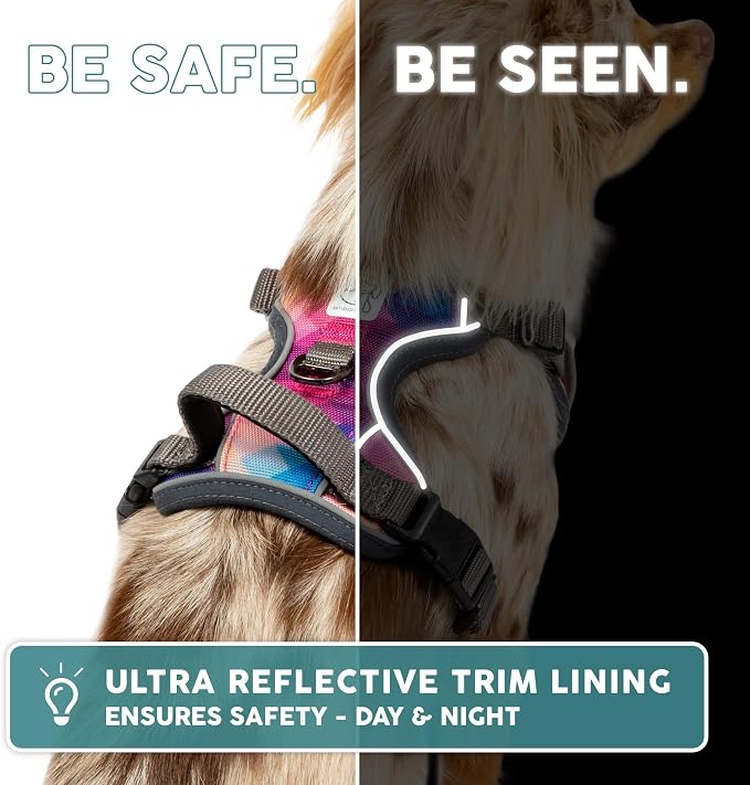 Embark Adventure Small Dog Harness – No-Pull, Reflective Trim, Military-Grade Nylon, Front Clip with Gel-Lined Handle