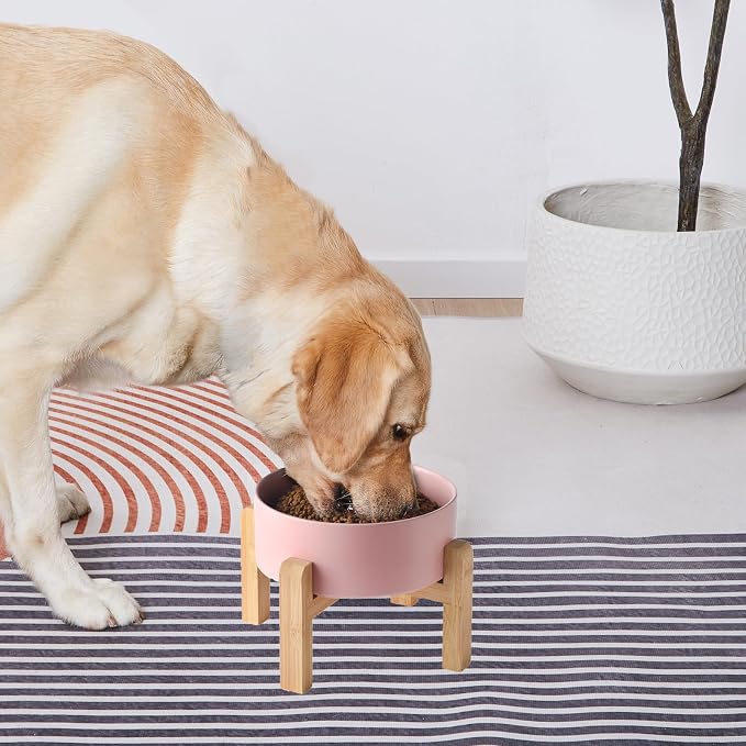6'' Ceramic Raised Dog Bowl - 30Oz Dog Food & Water Bowl with Elevated Non-Slip Bamboo Stand, Dishwasher & Microwave Safe, Anti Vomiting Heavy Duty Pet Bowl for Small and Medium Dogs, Pink