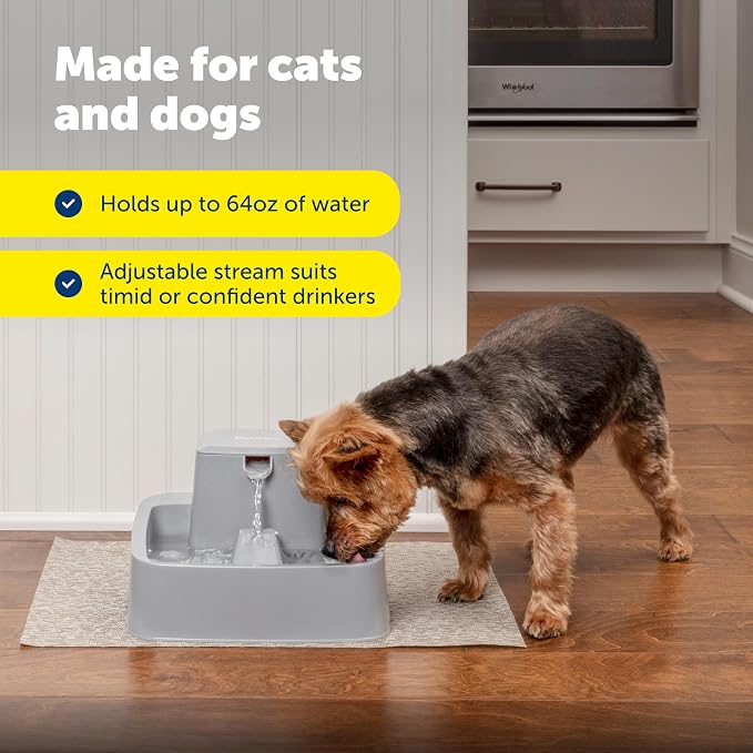 PetSafe Oasys Pet Fountain, 1/2 Gallon, Cats & Small Dogs, Extra Filters | Adjustable Flow Control, Whisker-Friendly Tray, Extra 12-Pack Replaceable Carbon & 2-Pack Foam Filters Included