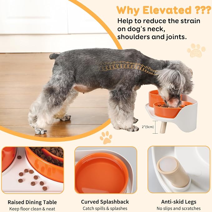 Elevated Slow Feeder Dog Bowls with Splash Proof Stand, Slow Eating 5X | 6.5″ Dog Slow Feeding Bowls & 6.1″ Dog Food Dish, Non-Slip Raised Food and Water Bowl Set for Small and Medium Breeds, Orange