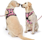 NESTROAD No Pull Dog Harness with Leash, Reflective No Choke Pet Vest Harness,Adjustable Soft Padded Dog Harness with Easy Control Handle for Medium Dogs(Checkered Pink,Medium)