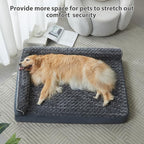 BFPETHOME Orthopedic Washable Dog Beds for Large Dogs, Sleeping Dog Couch | 36x27 Inch Deluxe Plush Rose Velvet Washable Cover, Egg Crate Foam Support, Waterproof Lining, Non-Slip Bottom, Senior Dogs