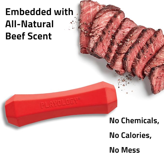 Playology Dog Toys | Squeaky Chew Stick for Dogs | Beef Scented Medium Fetch Toy | Squeaky Dog Chew Toy