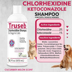 Truseb Chlorhexidine Shampoo for Dogs Cats & Horses with Aloe Vera - Medicated Antibacterial Antifungal Ketoconazole Dog Shampoo and Conditioner -Skin Irritation, Hot Spots, Redness Relief (16 oz)