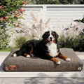 Sytopia 47 Inch Durable Indestructible Dog Beds for XXL Dogs, Chew Proof Waterproof Pet Crate Pad with Machine Washable Removable Cover, Great for Indoor, Outdoor, Crate, Patio Use, Brown