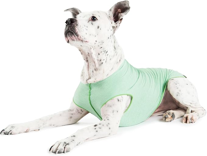 Gold Paw Sun Shield Dog Tee – T-Shirt for Canines – UV Protection, Pet Anxiety Relief, Wound Care – Protects Against Foxtails, Aids Alopecia - Machine Washable, All Season – Size 2 – Pistachio