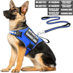Service Dog Vest Harness and Leash Set+10 Patches,Easy Walk Blue XL | No Pull&Adjustable Reflective Dog Harness Large Sized,Dog Leash with 2 Soft Padded Handles,for Training Hiking Walking