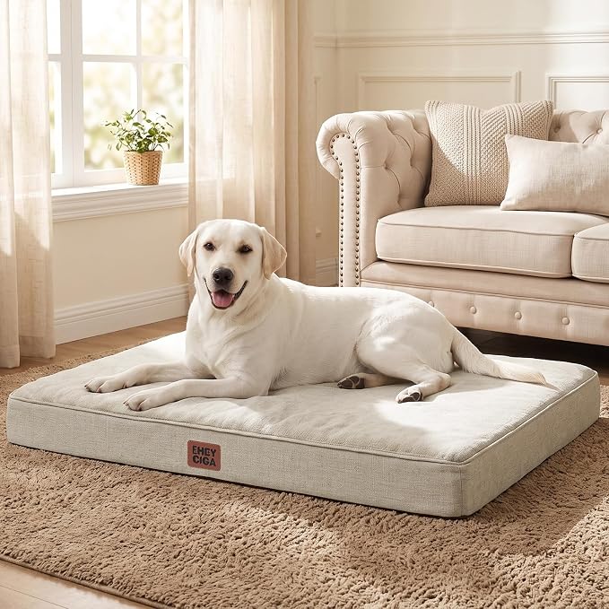 EHEYCIGA Extra Large Memory Foam Flat Dog Bed Washable, 44x32Inch, Beige | High Density Egg Crate Foam, Waterproof Liner, Removable Easy Clean Cover, Non-Slip Bottom, Fits Floor, Camping and Car