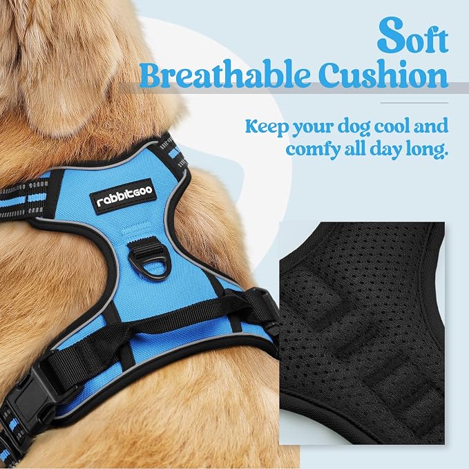 rabbitgoo Dog Harness, No Pull for Large Dogs with 2 Leash Clips, Pet Vest | No Choke with Handle, Adjustable Soft Padded, Reflective, Easy Control for Walking, Blue, Large