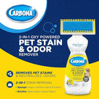 Carbona Oxy-Powered Pet Stain & Odor Remover, 2-in-1 Foaming Carpet Cleaner with Built-In Brush, Targets Urine, Vomit, Mud Messes from Dogs, Cats, 13.5 Oz (Pack of 3)