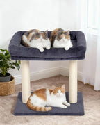 19" Small Cat Tree with Scratching Post for Indoor Cats with Perch | Dark Gray, Removable 19"×15.8" Perch Bed, Dual Natural Sisal Scratcher,Small Cat Tower,Space-Saving