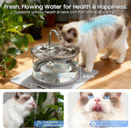 Glass Cat Water Fountain 70oz Dishwasher Safe Pet & Dog Fountain | Automatic 2.1L drinking water dispenser,Easy to Clean Glass Bowl,Ultra Quiet Pump,3-Stage Filtration for indoor Cats & Dogs