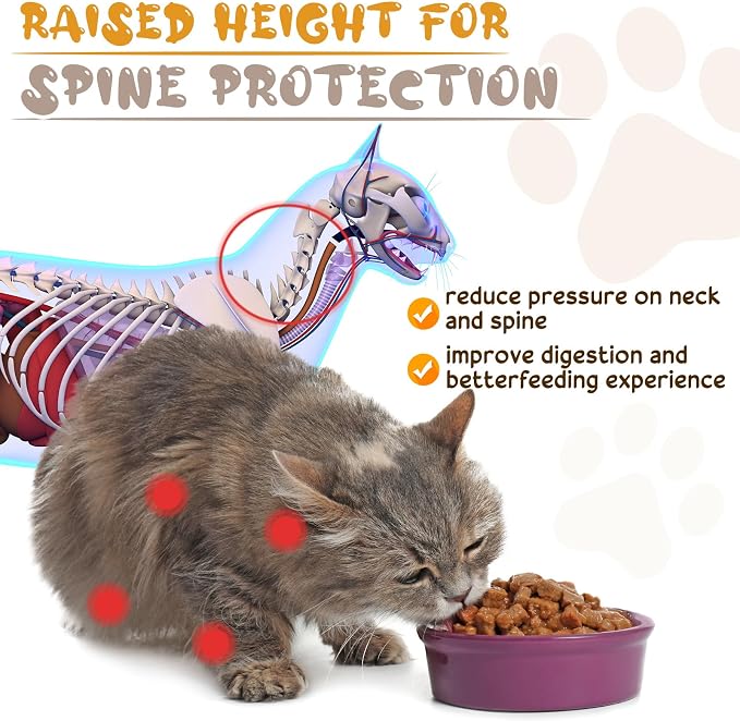 Roshtia 4 Sets Elevated Cat Bowls Ceramic Raised Cat Food Bowls with Metal Stand Dishwasher Safe Dishes Non Slip Elevated Food Plate(Gold,Paw)