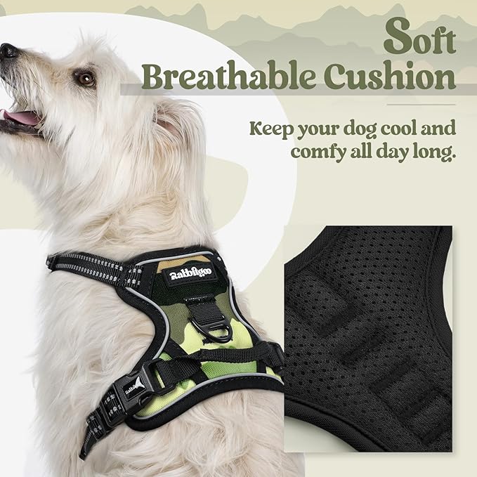 rabbitgoo Dog Harness, No Pull for Small Dogs with 2 Leash Clips, Pet Vest | No Choke with Handle, Adjustable Soft Padded, Reflective, Easy Control for Walking, Green Mountain, X-Small