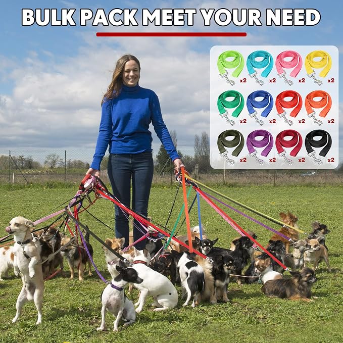 24 Pack Nylon Dog Training Leash Bulk 5 ft Dog Leash for Small and Medium Puppy Traction Rope for Training, Play, Camping, or Backyard, 12 Assorted Colors(Bright Colors)