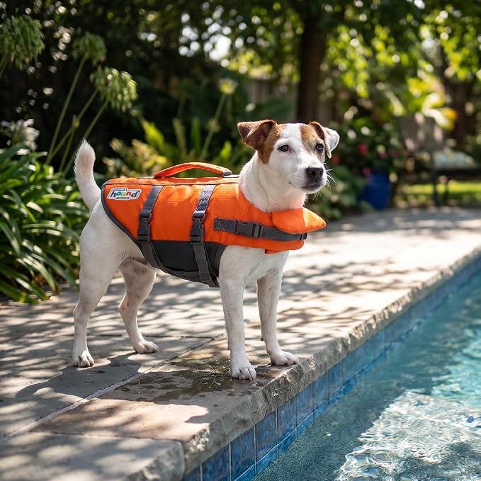 Outward Hound Granby Splash Orange Dog Life Jacket, Small