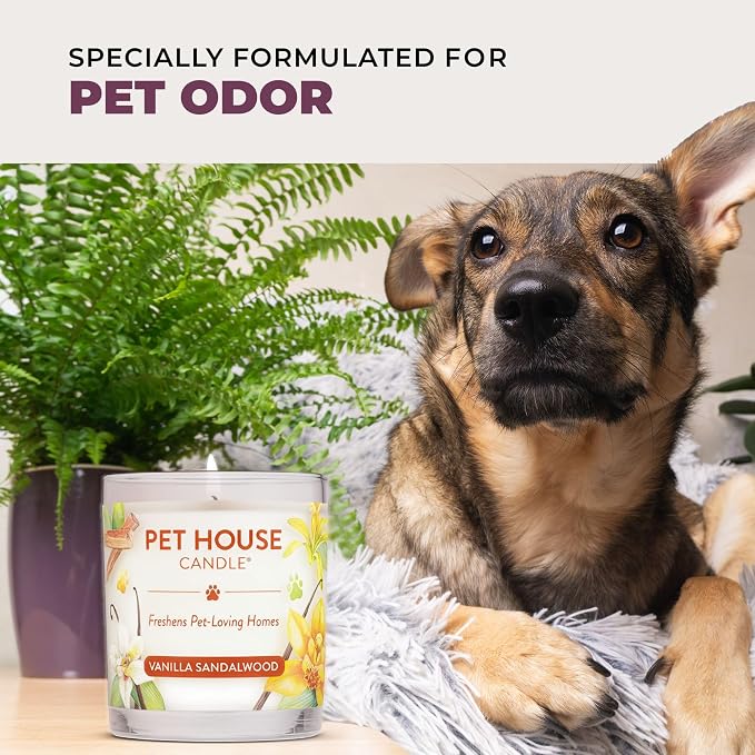 Pet Candle 9 OZ Plant-Based Spring Candle with a 60 Hour Burn Time - BlackBerry Tea