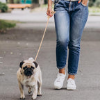 Mile High Life Dog Leash Braided Cotton Rope with Leather-Reinforced Ends | Rust-proof 360° swivel clasp, Heavy-duty for small/medium dogs. Great for weddings, daily walks (6 FT, 1/3", Light Brown)