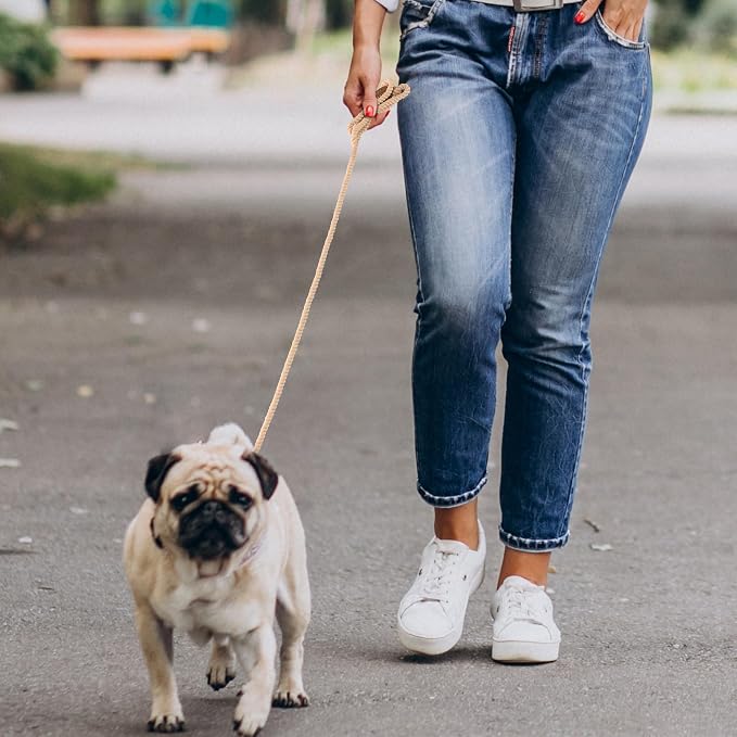 Mile High Life Dog Leash Braided Cotton Rope with Leather-Reinforced Ends | Rust-proof 360° swivel clasp, Heavy-duty for small/medium dogs. Great for weddings, daily walks (4 FT, 1/3", Light Brown)