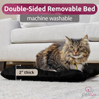 Cat & Dog Pet Carrier, Soft-Sided, Large 24"x16"x16", Fits Large Cat, 2 Cats, or Medium Dog Comfortably, Great for Travel & Vet Visits, Privacy Windows, Removable Bed, Locking Zippers, Foldable