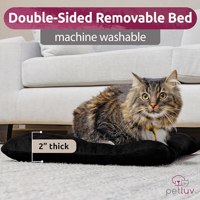 Cat & Dog Pet Carrier, Soft-Sided, Large 24"x16"x16", Fits Large Cat, 2 Cats, or Medium Dog Comfortably, Great for Travel & Vet Visits, Privacy Windows, Removable Bed, Locking Zippers, Foldable