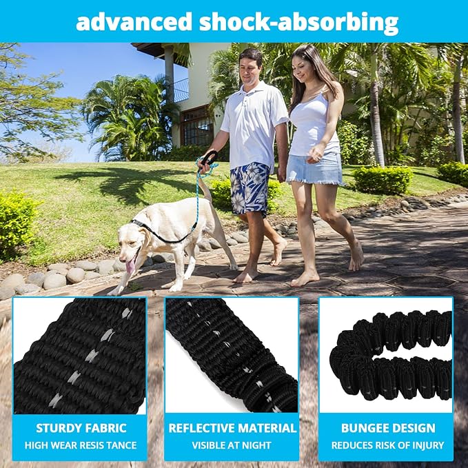 Rope Dog Leash 5 FT: Heavy Duty Leashes with Swivel Lockable Hook Reflective Threads Bungee and Padded Handle - Dog Lead for Large Small Medium Dogs Outside Walking Hiking Blue