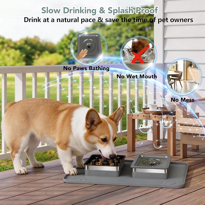 Dog Bowl Set, No Spill Dog Water and Food Bowl with Slow Feeder | Large Capacity 304 Stainless Steel Bowls, 3-In-1 Set, Slows Drinking, Anti-Slip Mat, Easy to Clean, Home/Travel, 6-7 Cups